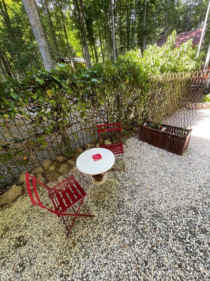 Chalet I Folletti Apartment Abbadia San Salvator Ngoại thất bức ảnh