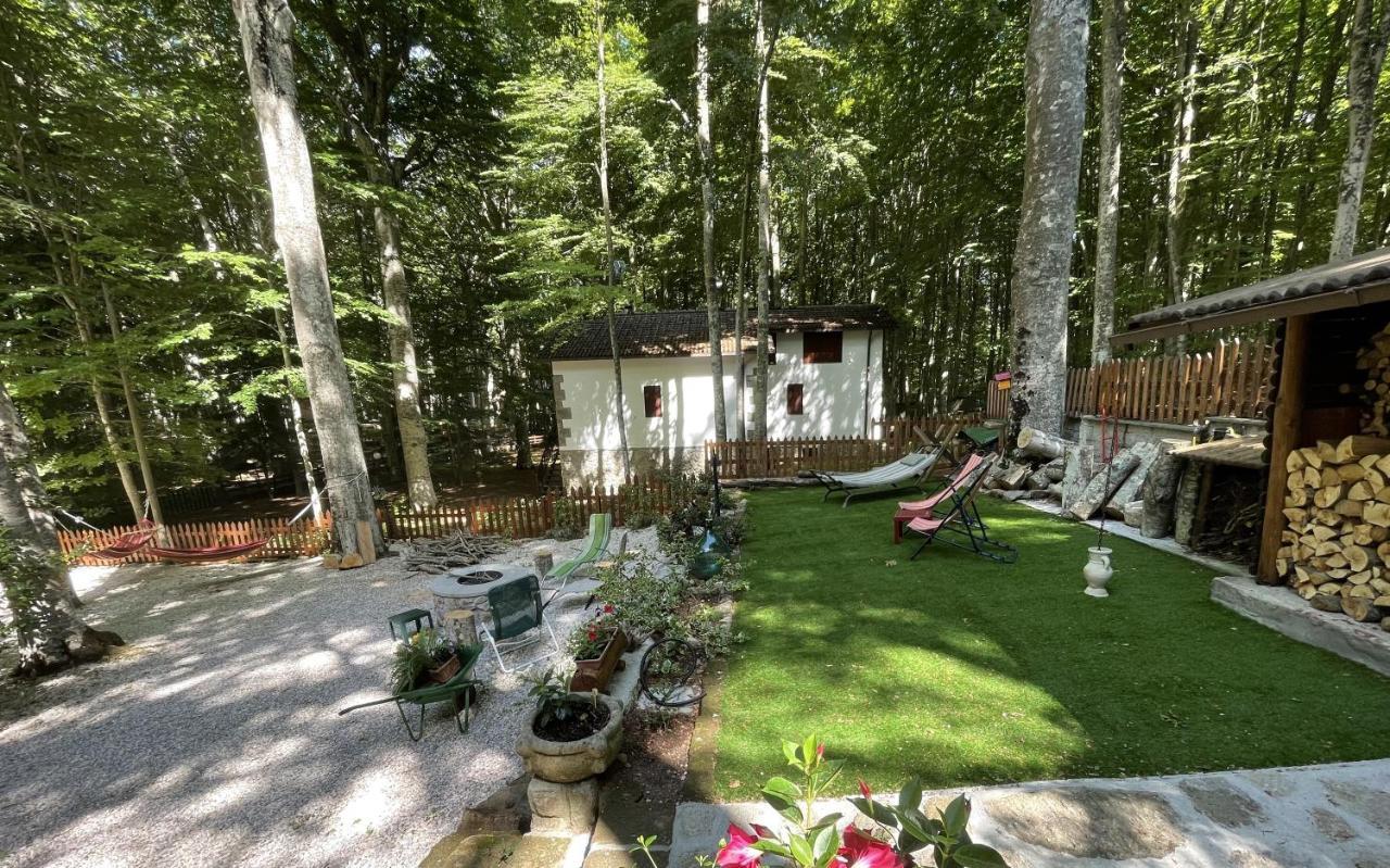 Chalet I Folletti Apartment Abbadia San Salvator Ngoại thất bức ảnh