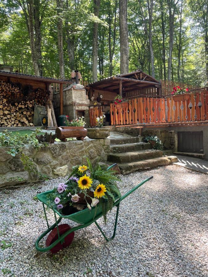 Chalet I Folletti Apartment Abbadia San Salvator Ngoại thất bức ảnh